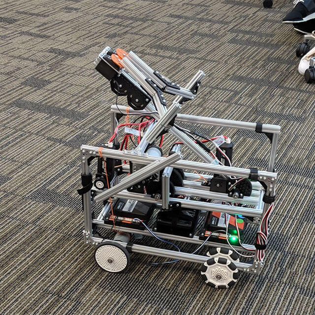 stem
